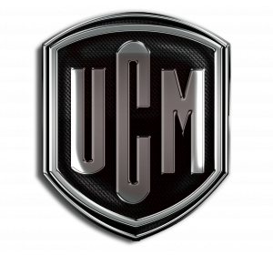 UCM GROUP OF COMPANIES INC