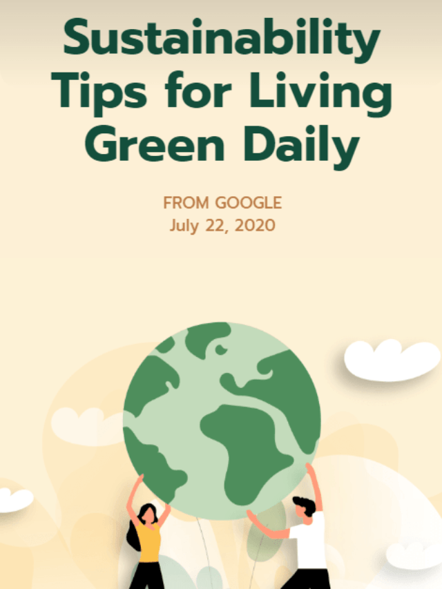 Sustainability Tips